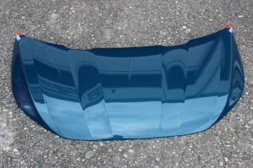 Preview: Motorhauben Set -in Wagenfarbe- Modell Ambition ab BJ 2023-