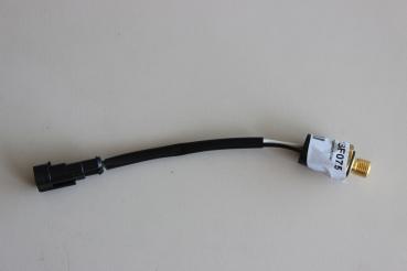 Temperaturfühler am Kühler