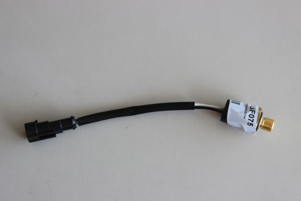 Temperaturfühler am Kühler